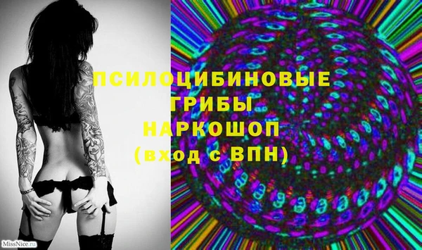 прущий лед Абаза