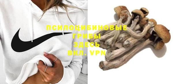 прущие крисы Рославль