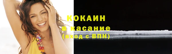 стафф Ростов