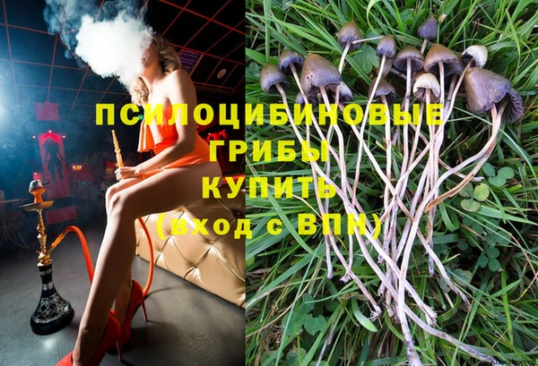 сатива Абдулино