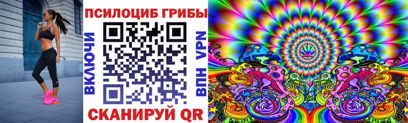 Псилоцибиновые грибы прущие грибы  Кедровый 