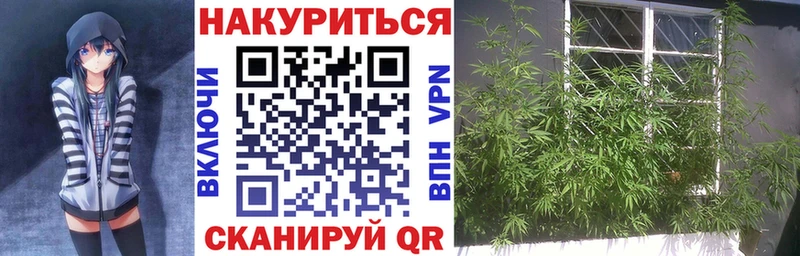 МАРИХУАНА план  купить закладку  Кедровый 